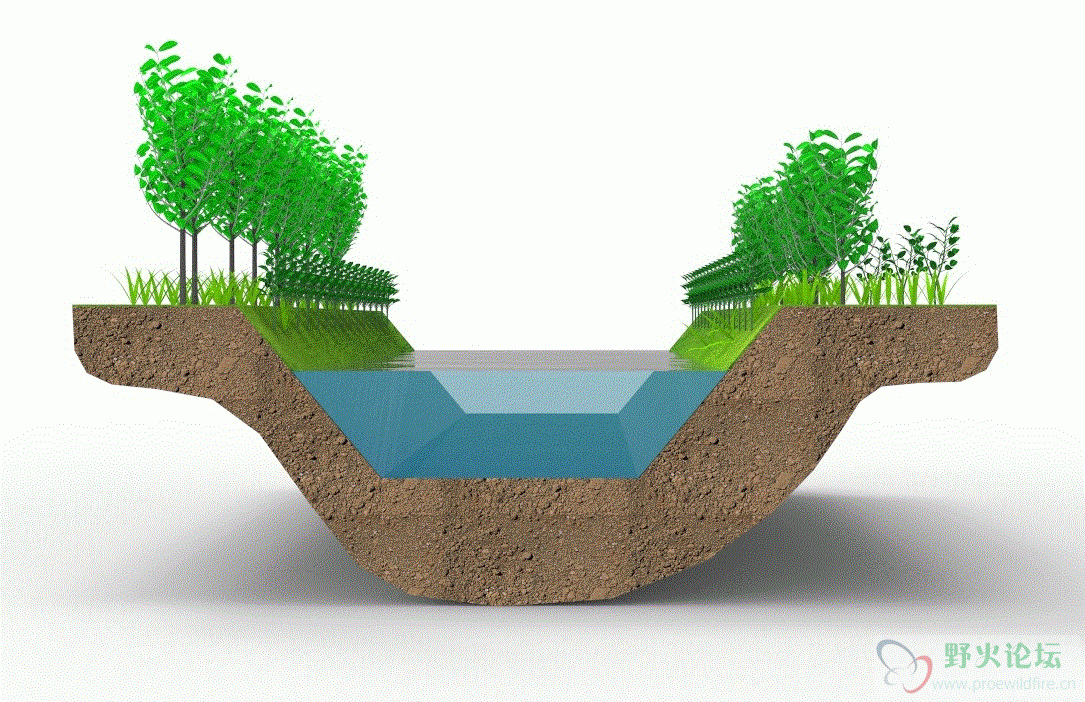 河流断面图