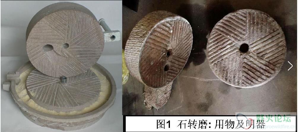 求助谁能画一个石磨的3d档不太了解石磨的工作原理谢谢了